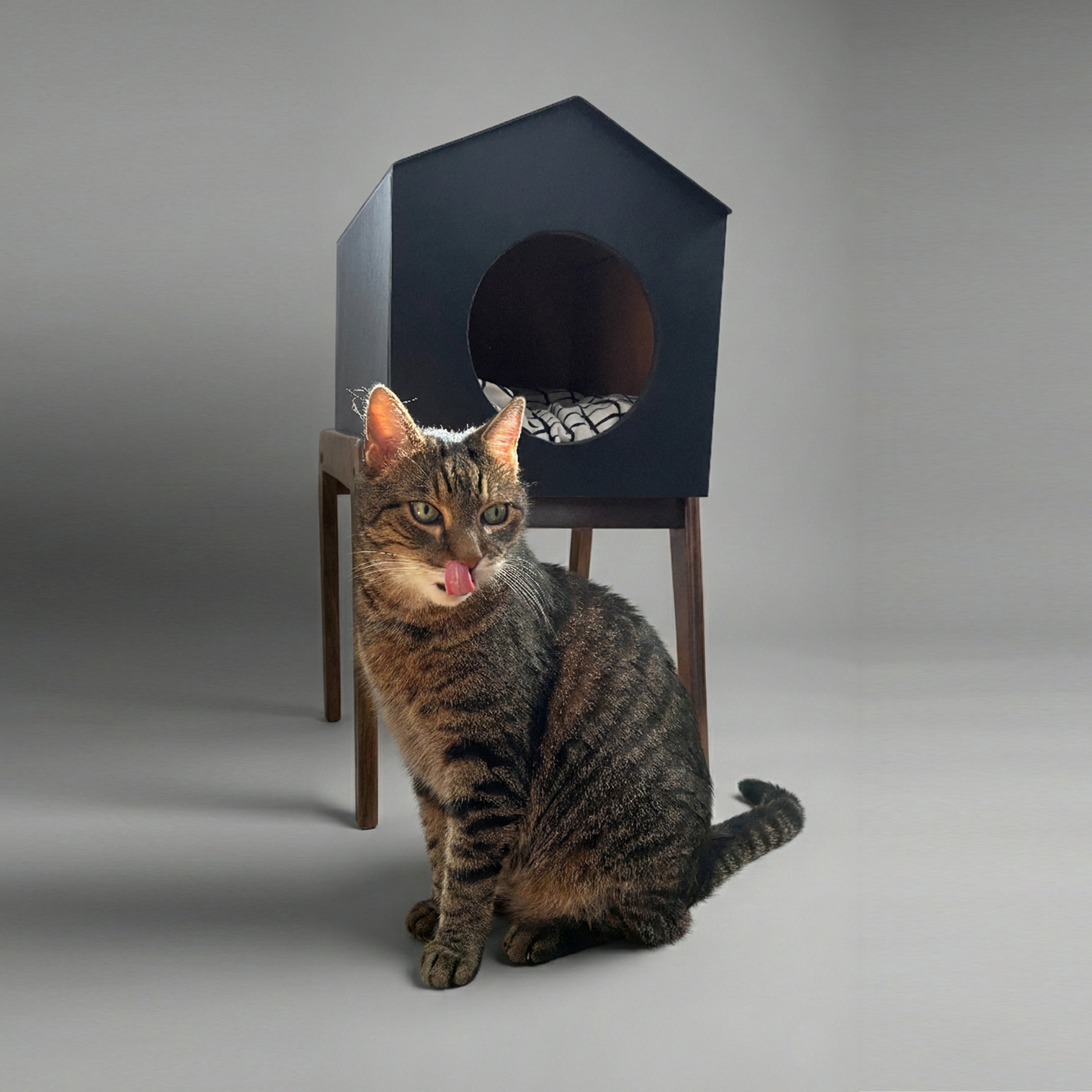 HAUS - Edycja limitowana