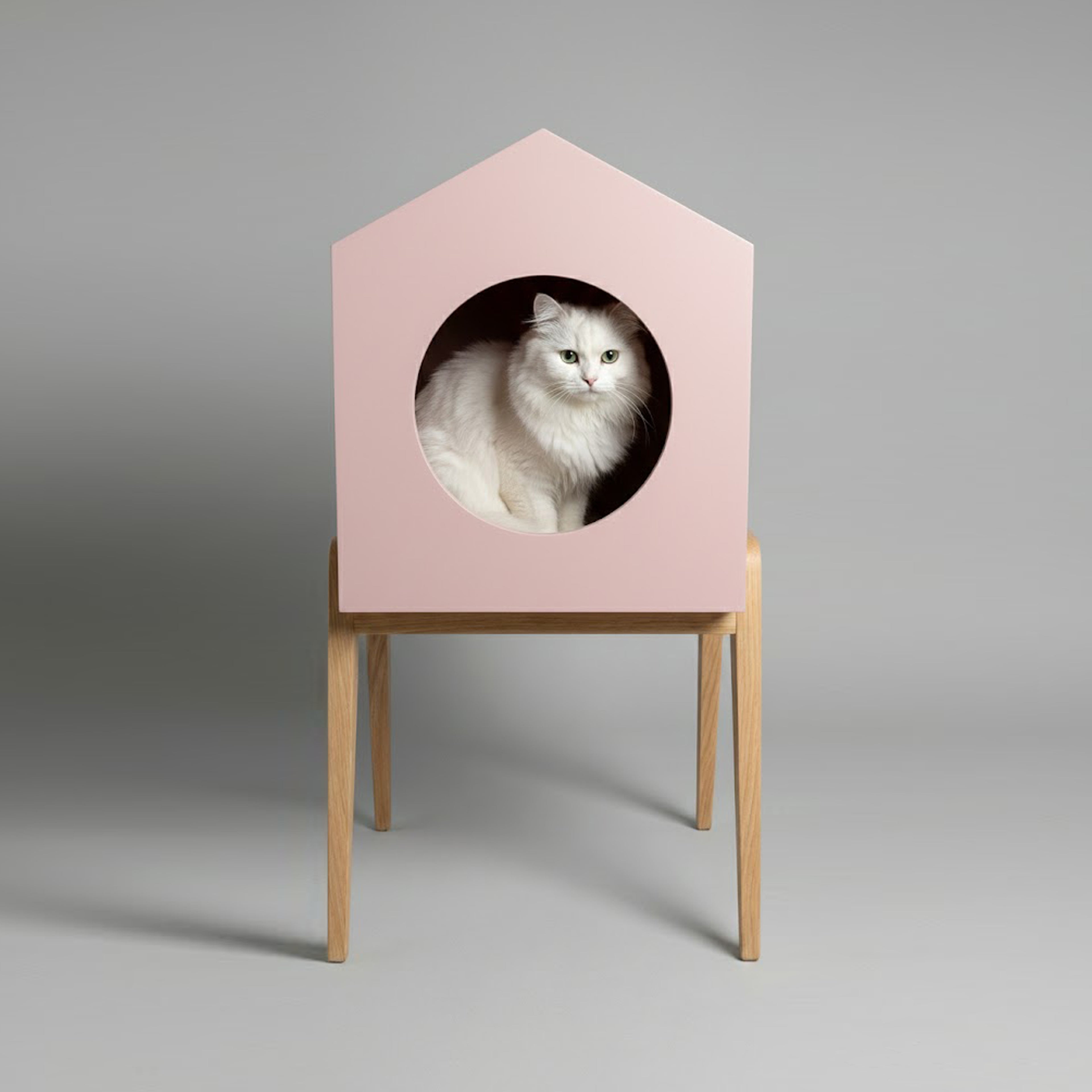 HAUS - Edycja limitowana