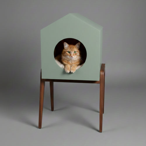 HAUS - Edycja limitowana