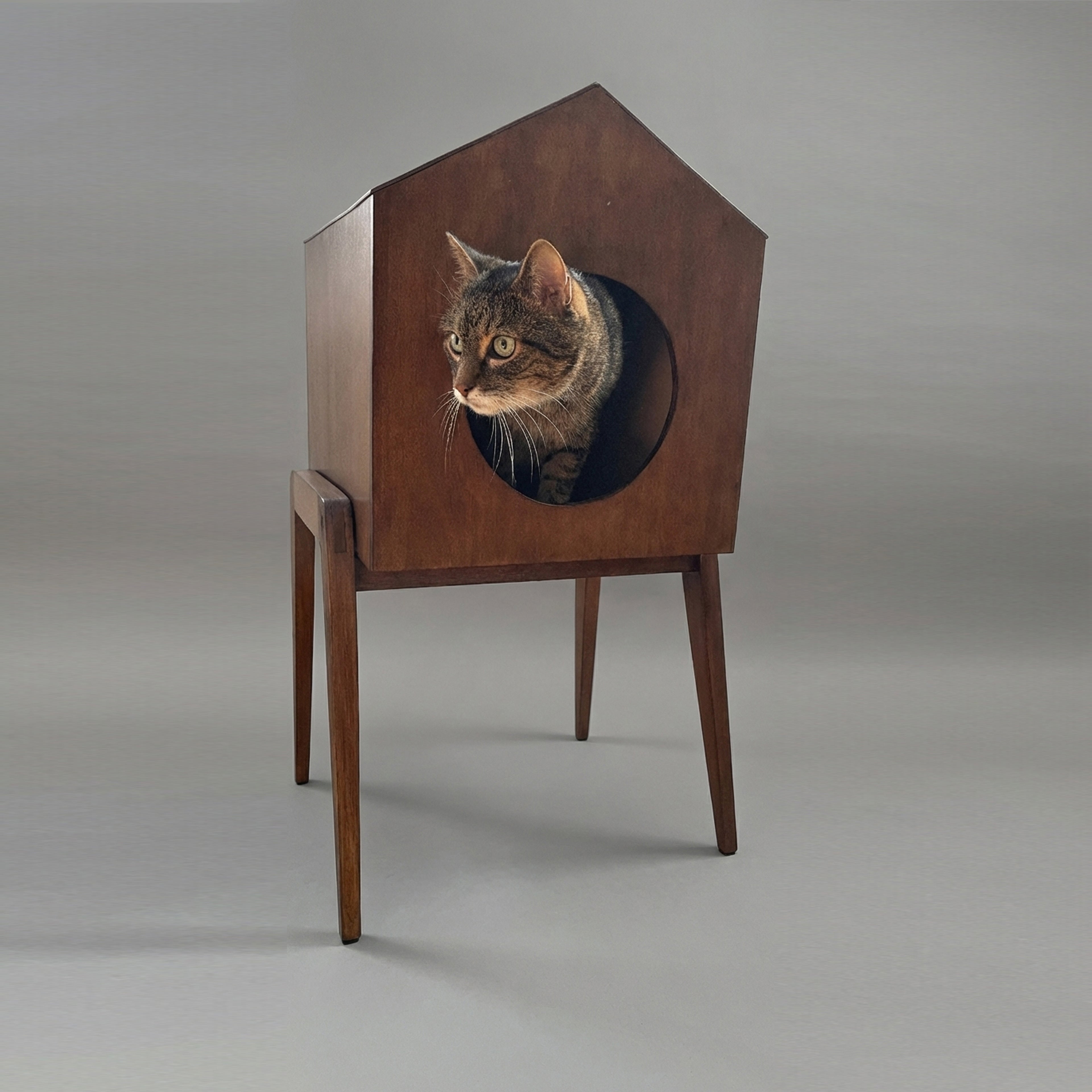 HAUS - Edycja limitowana