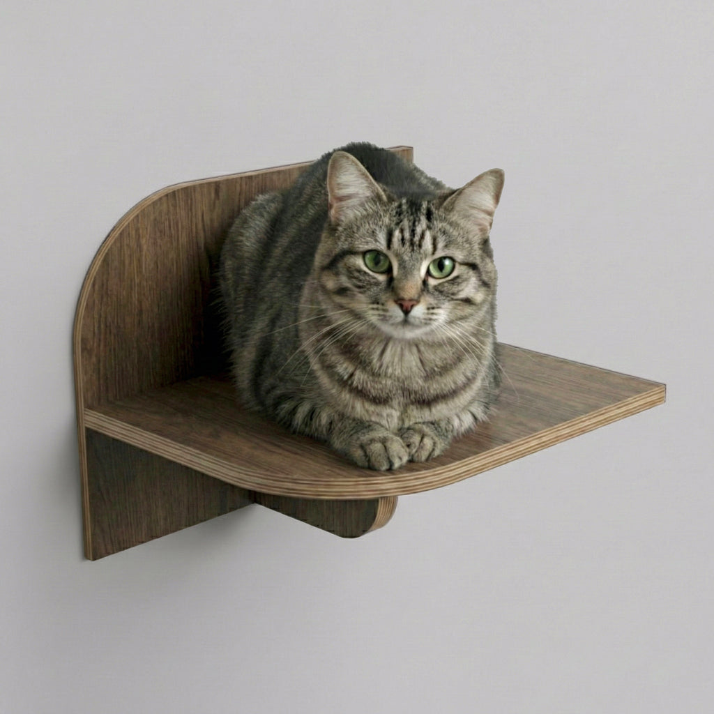 MCM - półka ścienna dla kota
