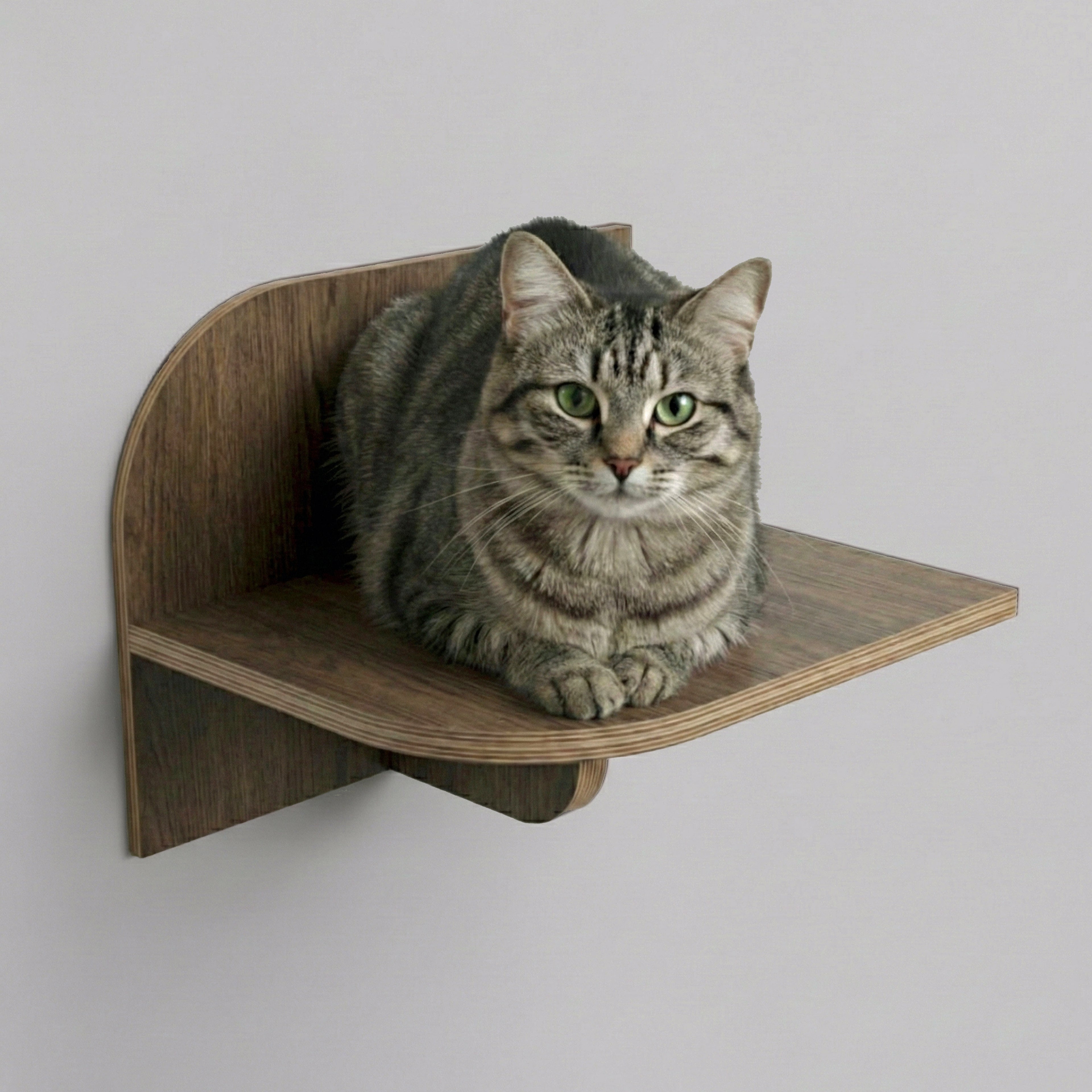 MCM - półka ścienna dla kota