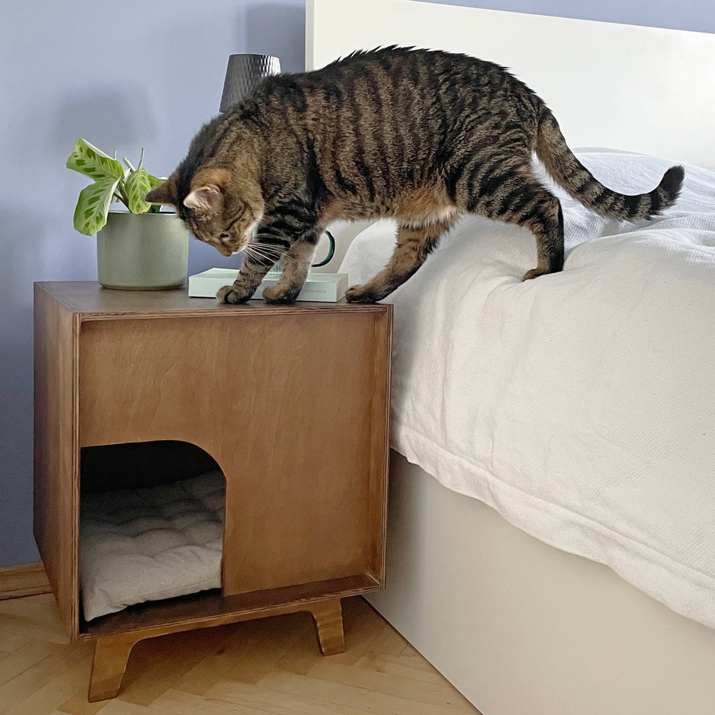 MCM - domek dla kota